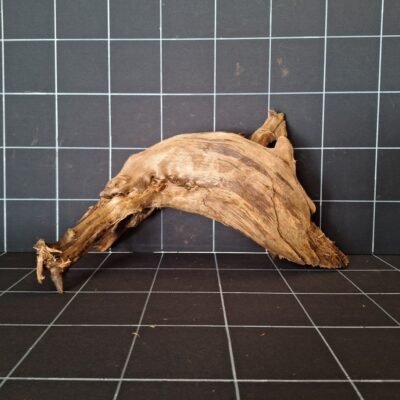 Tuskwood akvarierot äkta bogwood 48 cm P192619 sedd bakifrån
