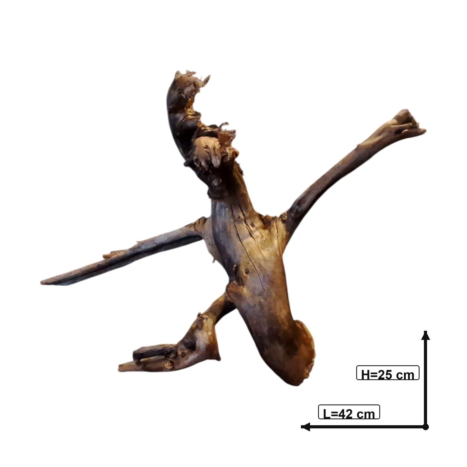 Tuskwood Akvarierot WYSIWYG Äkta Bogwood Unik 42 cm P192621 - Billede 3