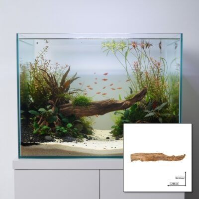 Tuskwood Akvarierot WYSIWYG Äkta Bogwood Unik 60 cm P202619