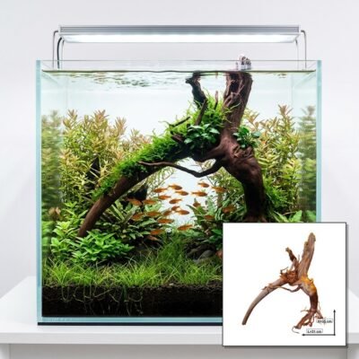 Tuskwood Aquarium Root WYSIWYG Genuine Bogwood Unique 35 cm P202620