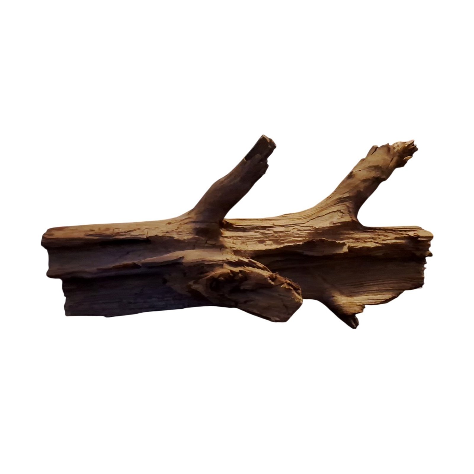 Tuskwood Akvarierot WYSIWYG Äkta Bogwood Unik 48 cm P202621 - Kuva 7