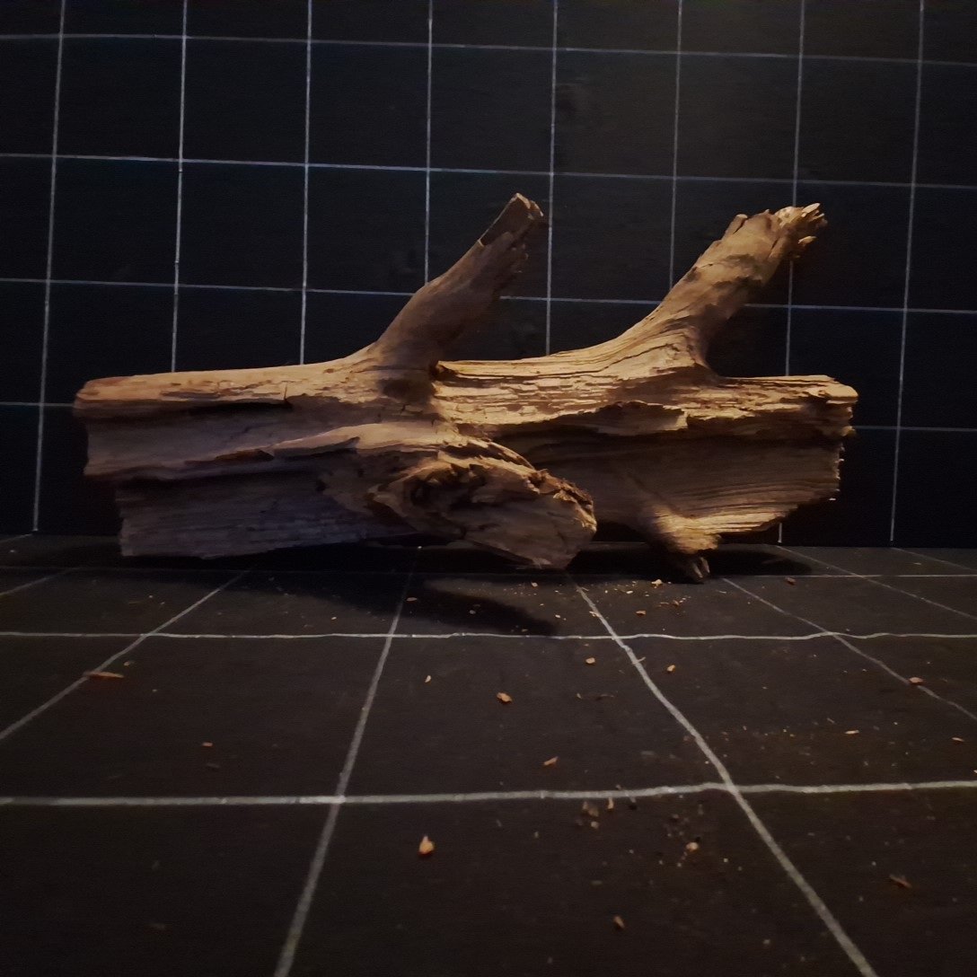 Tuskwood Akvarierot WYSIWYG Äkta Bogwood Unik 48 cm P202621 - Kuva 4