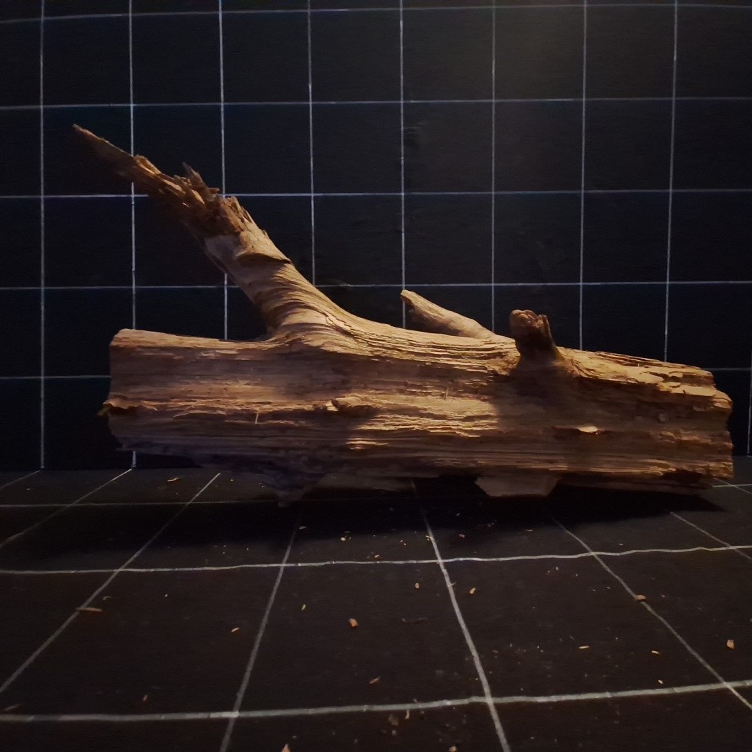 Tuskwood Akvarierot WYSIWYG Äkta Bogwood Unik 48 cm P202621 - Kuva 5