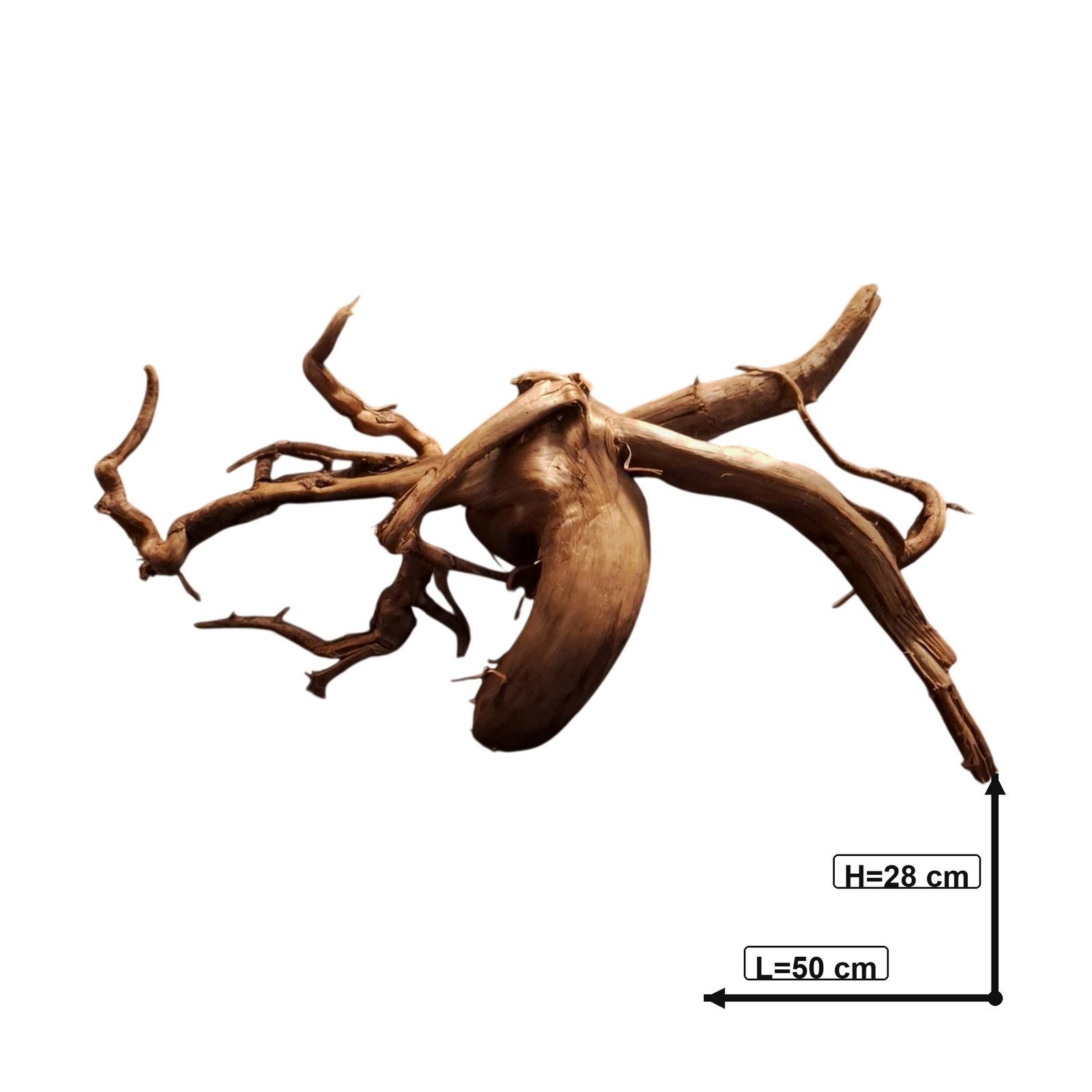 Tuskwood Akvarierot WYSIWYG Äkta Bogwood Unik 50 cm P202622 - Image 3