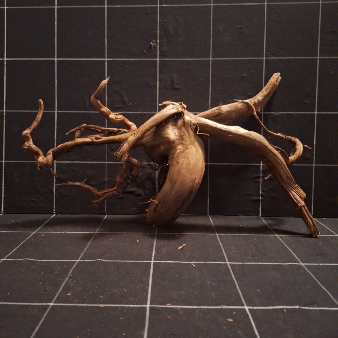 Tuskwood Akvarierot WYSIWYG Äkta Bogwood Unik 50 cm P202622 - Image 4