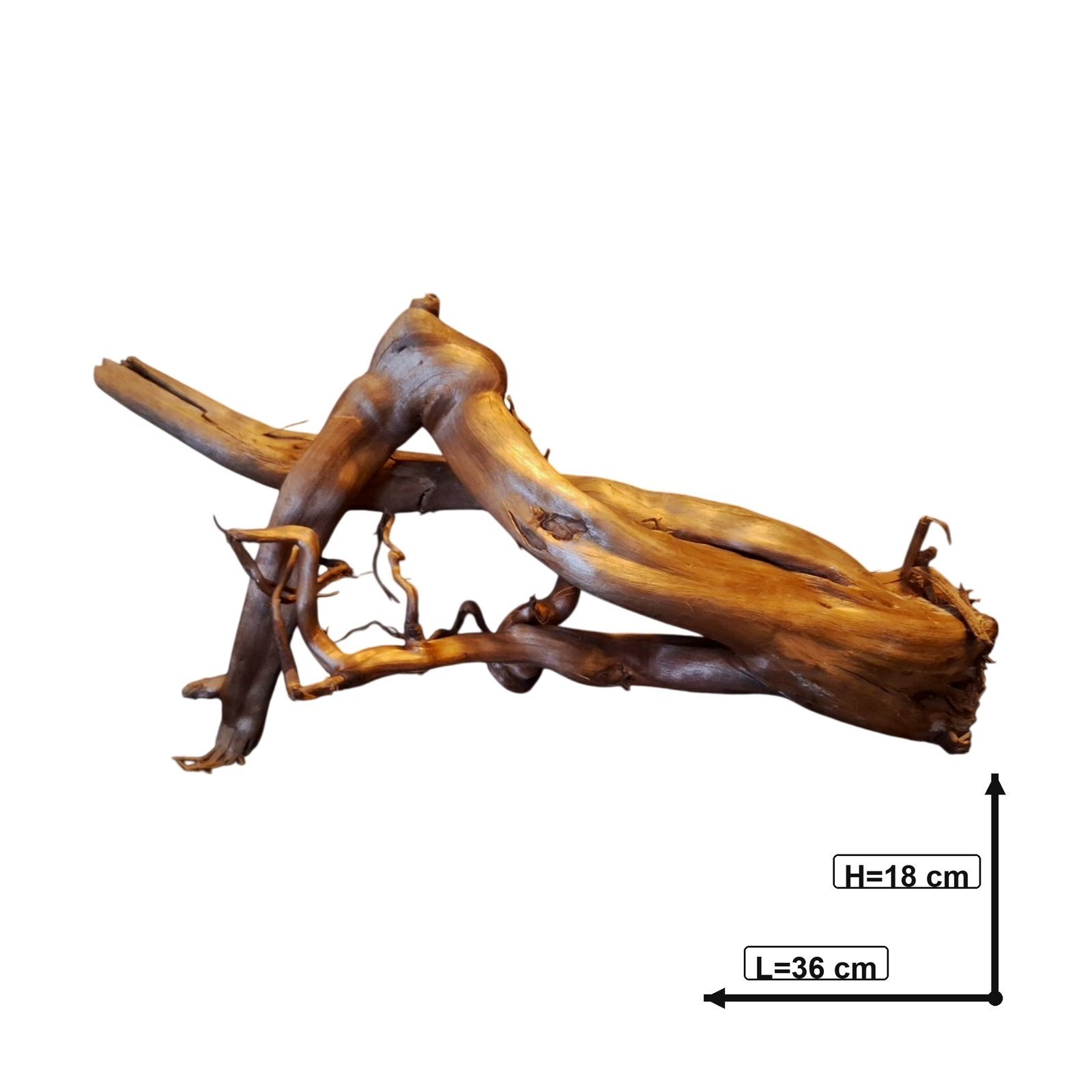 Tuskwood Akvarierot WYSIWYG Äkta Bogwood Unik 36 cm P212620 – Bild 3