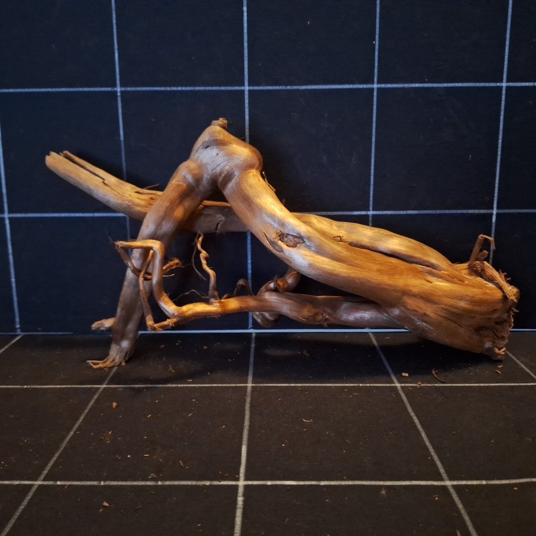 Tuskwood Akvarierot WYSIWYG Äkta Bogwood Unik 36 cm P212620 – Bild 4