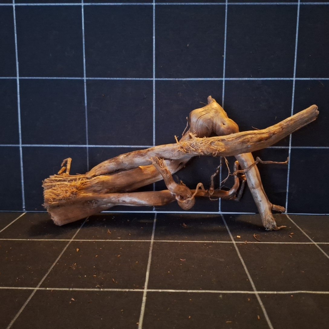 Tuskwood Akvarierot WYSIWYG Äkta Bogwood Unik 36 cm P212620 – Bild 5