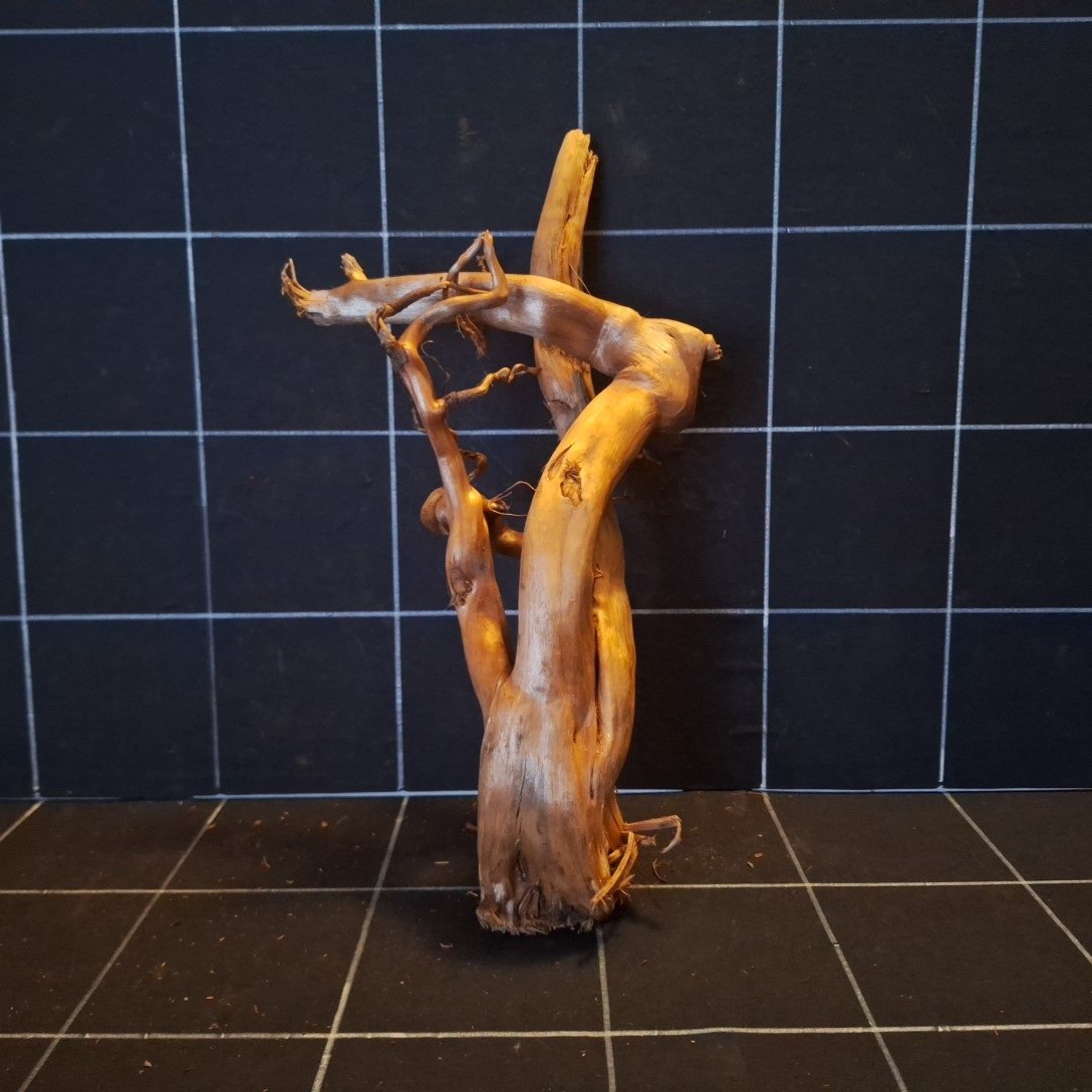 Tuskwood Akvarierot WYSIWYG Äkta Bogwood Unik 36 cm P212620 – Bild 6
