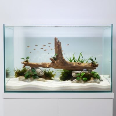 Tuskwood Aquarienwurzel aus echtem Moorholz, 68 cm, P222618