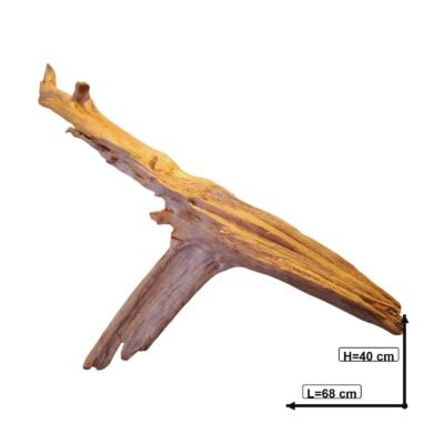 Tuskwood Aquarienwurzel aus echtem Moorholz, 68 cm, P222618