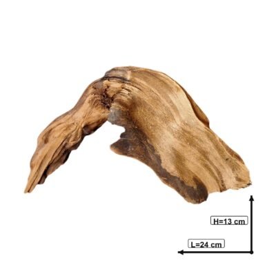 Måttsatt bild av Tuskwood akvarierot äkta bogwood 24 cm P222619