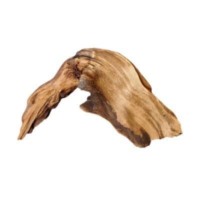 Frilagd Tuskwood akvarierot WYSIWYG äkta bogwood 24 cm P222619 mot vit bakgrund