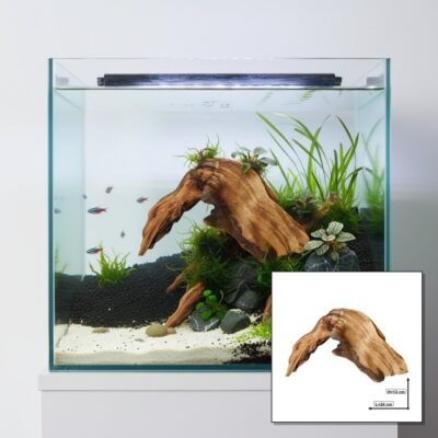 Tuskwood Akvarierot WYSIWYG Äkta Bogwood Unik 24 cm P222619