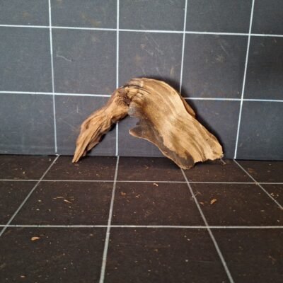 Tuskwood akvarierot äkta bogwood 24 cm P222619 sedd framifrån