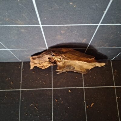 Tuskwood akvarierot äkta bogwood 24 cm P222619 sedd ovanifrån
