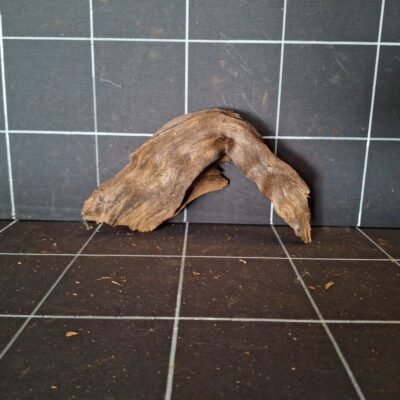 Tuskwood akvarierot äkta bogwood 24 cm P222619 sedd bakifrån