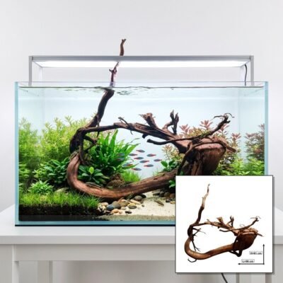 Tuskwood Akvaario Juuri WYSIWYG Aito Bogwood Unique 61 cm P222621