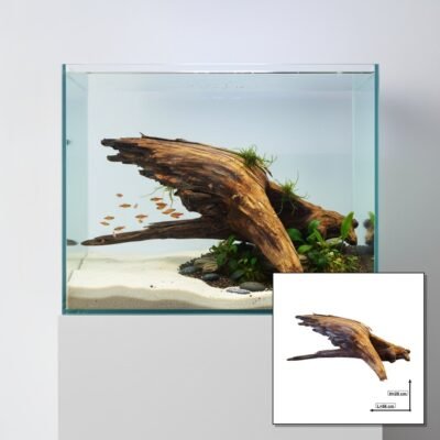 Tuskwood akvarierod i ægte mosetræ, 56 cm, P232618
