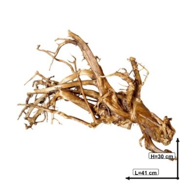 Measured image of Tuskwood genuine bogwood aquarium root 41 cm P232619