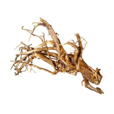 Cutout of Tuskwood WYSIWYG aquarium root genuine bogwood 41 cm P232619 on white background