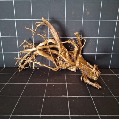 Front view of Tuskwood genuine bogwood aquarium root 41 cm P232619