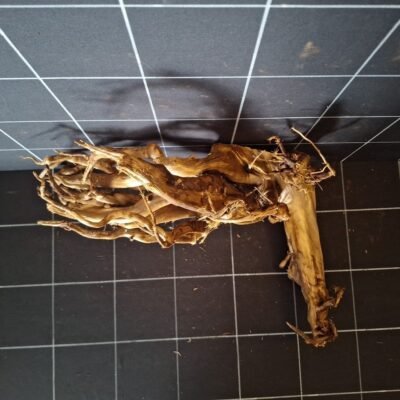 Top view of Tuskwood genuine bogwood aquarium root 41 cm P232619