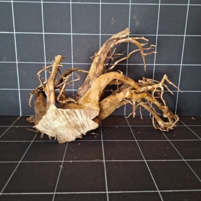 Back view of Tuskwood genuine bogwood aquarium root 41 cm P232619