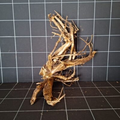 Tuskwood WYSIWYG aquarium root genuine bogwood 41 cm P232619