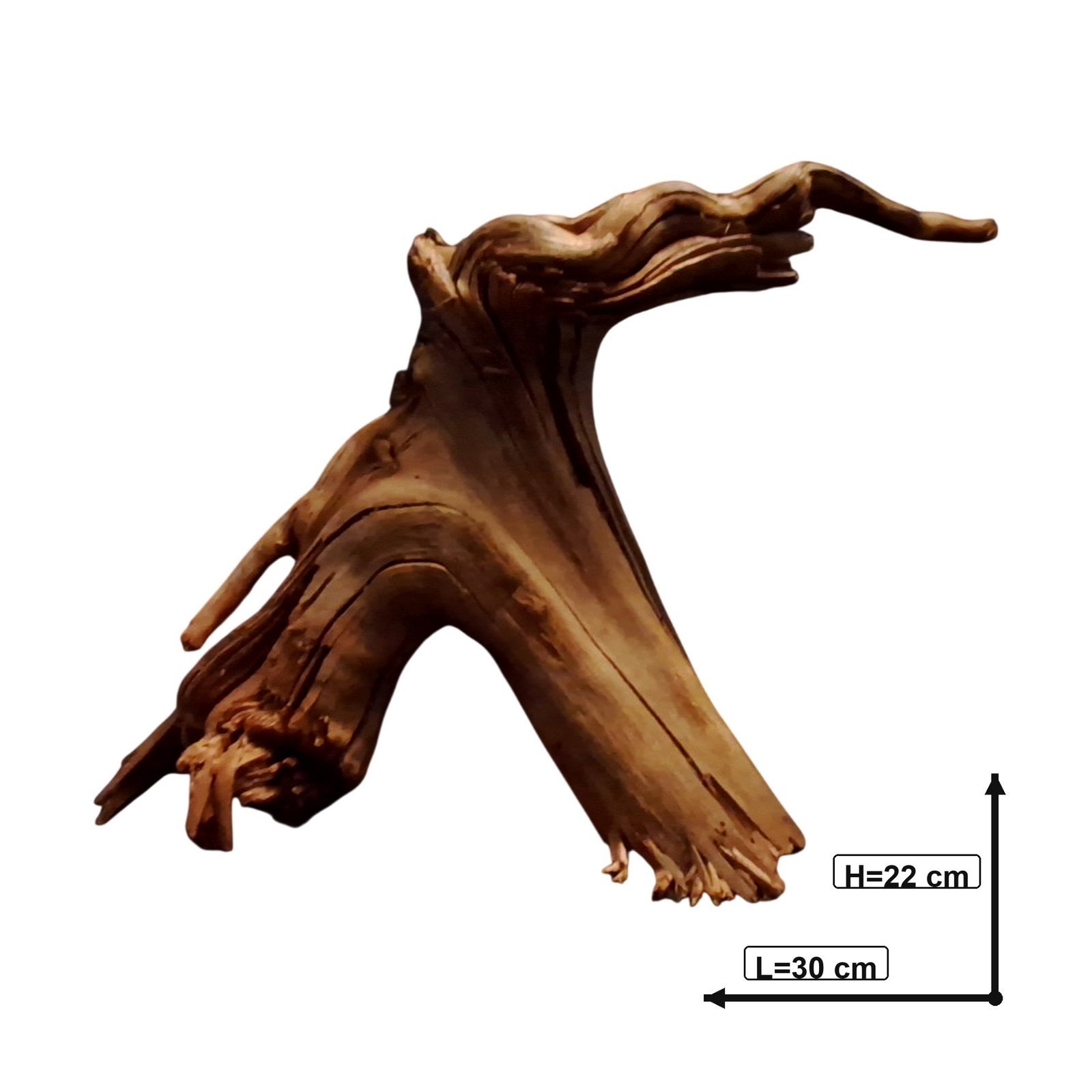 Tuskwood Akvarierot WYSIWYG Äkta Bogwood Unik 30 cm P232621 – Image 3