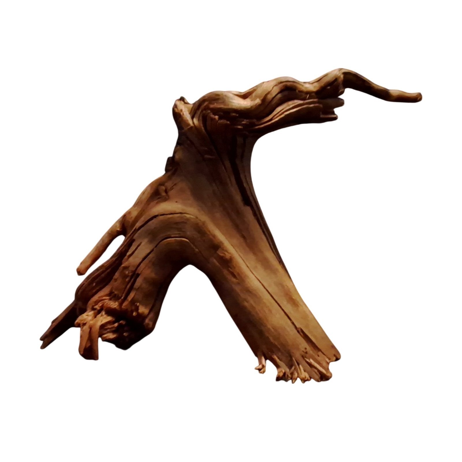 Tuskwood Akvarierot WYSIWYG Äkta Bogwood Unik 30 cm P232621 – Image 6