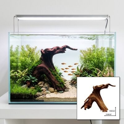 Tuskwood Akvaario Juuri WYSIWYG Aito Bogwood Unique 30 cm P232621