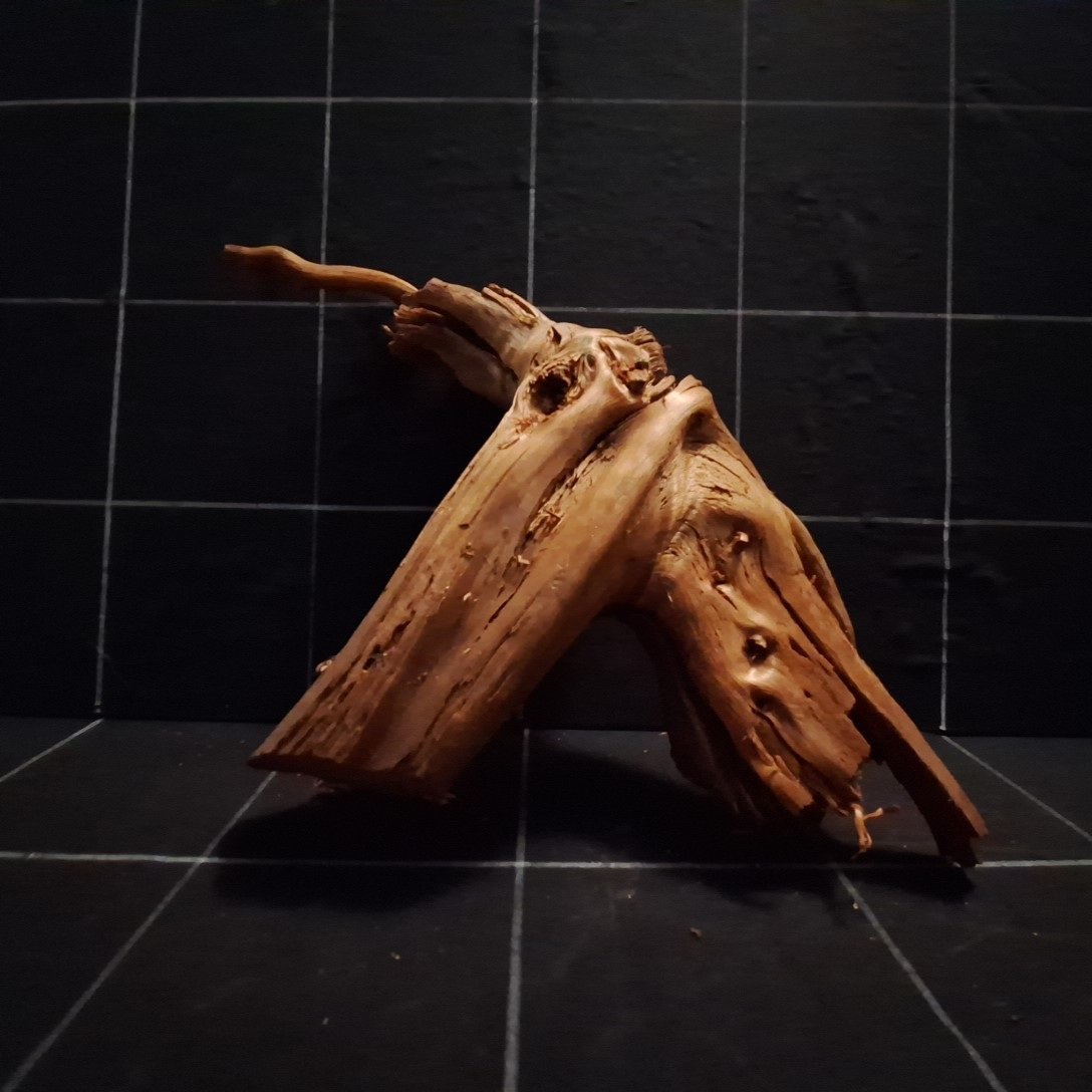 Tuskwood Akvarierot WYSIWYG Äkta Bogwood Unik 30 cm P232621 – Image 5