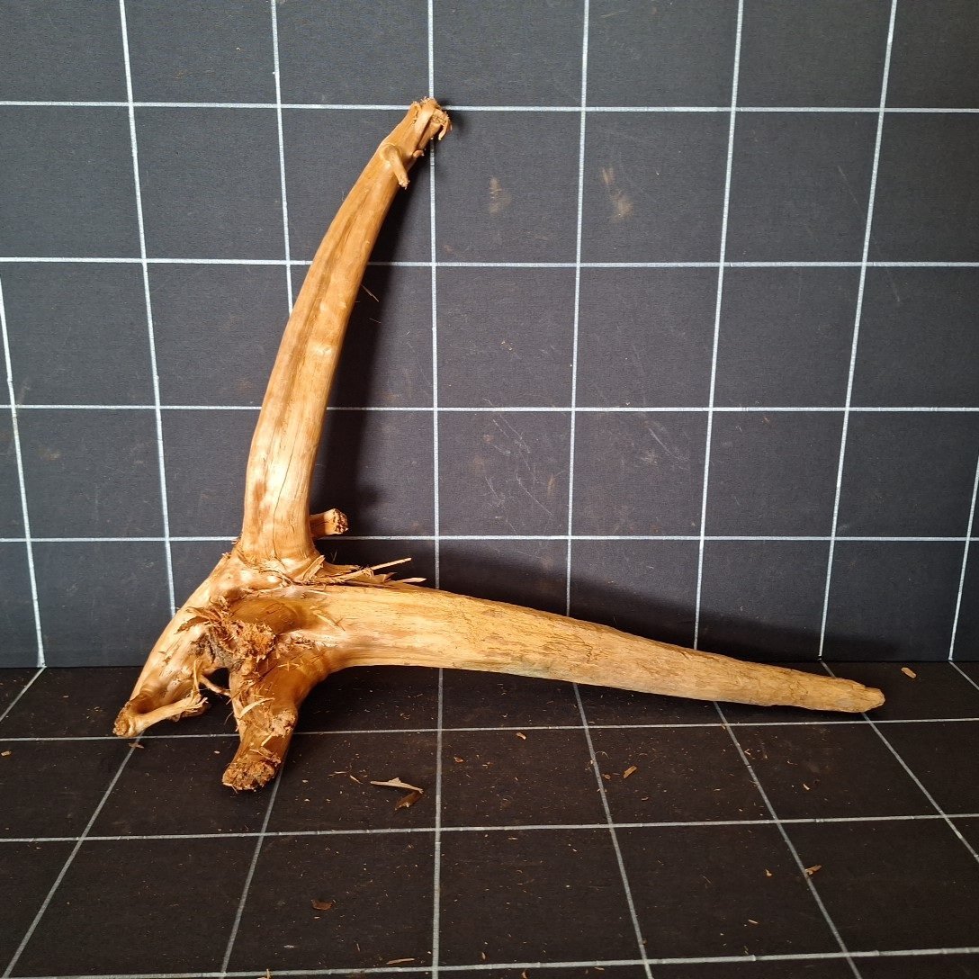 Tuskwood akvarierot äkta bogwood 52 cm P242619 sedd framifrån