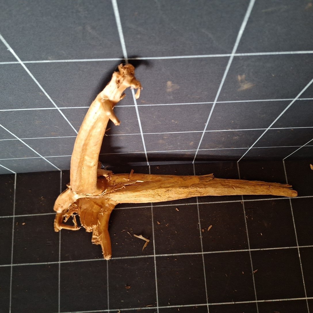 Tuskwood akvarierot äkta bogwood 52 cm P242619 sedd ovanifrån