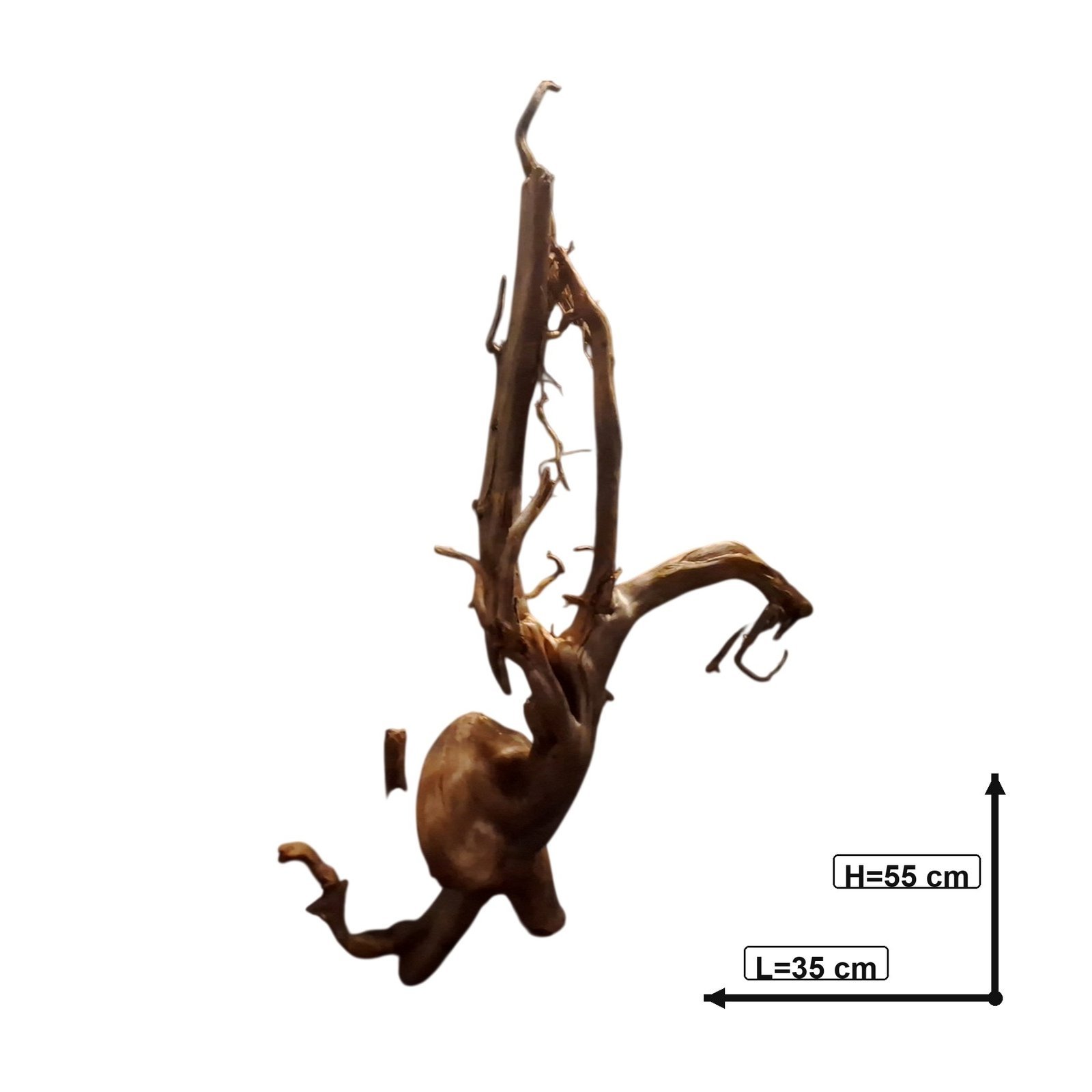 Tuskwood Akvarierot WYSIWYG Äkta Bogwood Unik 55 cm P242621 - Billede 3