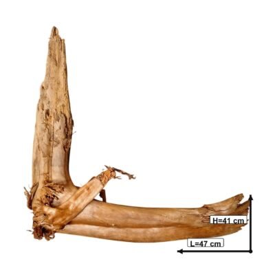 Måttsatt bild av Tuskwood akvarierot äkta bogwood 47 cm P252619