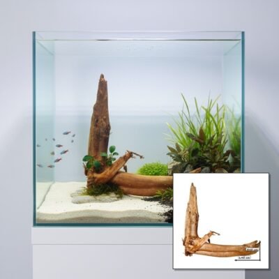 Tuskwood korzeń akwariowy WYSIWYG prawdziwe drewno bagienne 47 cm P252619 w kolażu aquascape