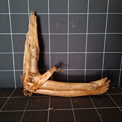Tuskwood akvarierot äkta bogwood 47 cm P252619 sedd framifrån