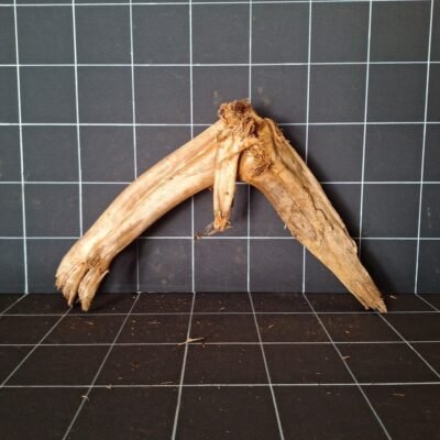 Tuskwood akvarierot WYSIWYG äkta bogwood 47 cm P252619