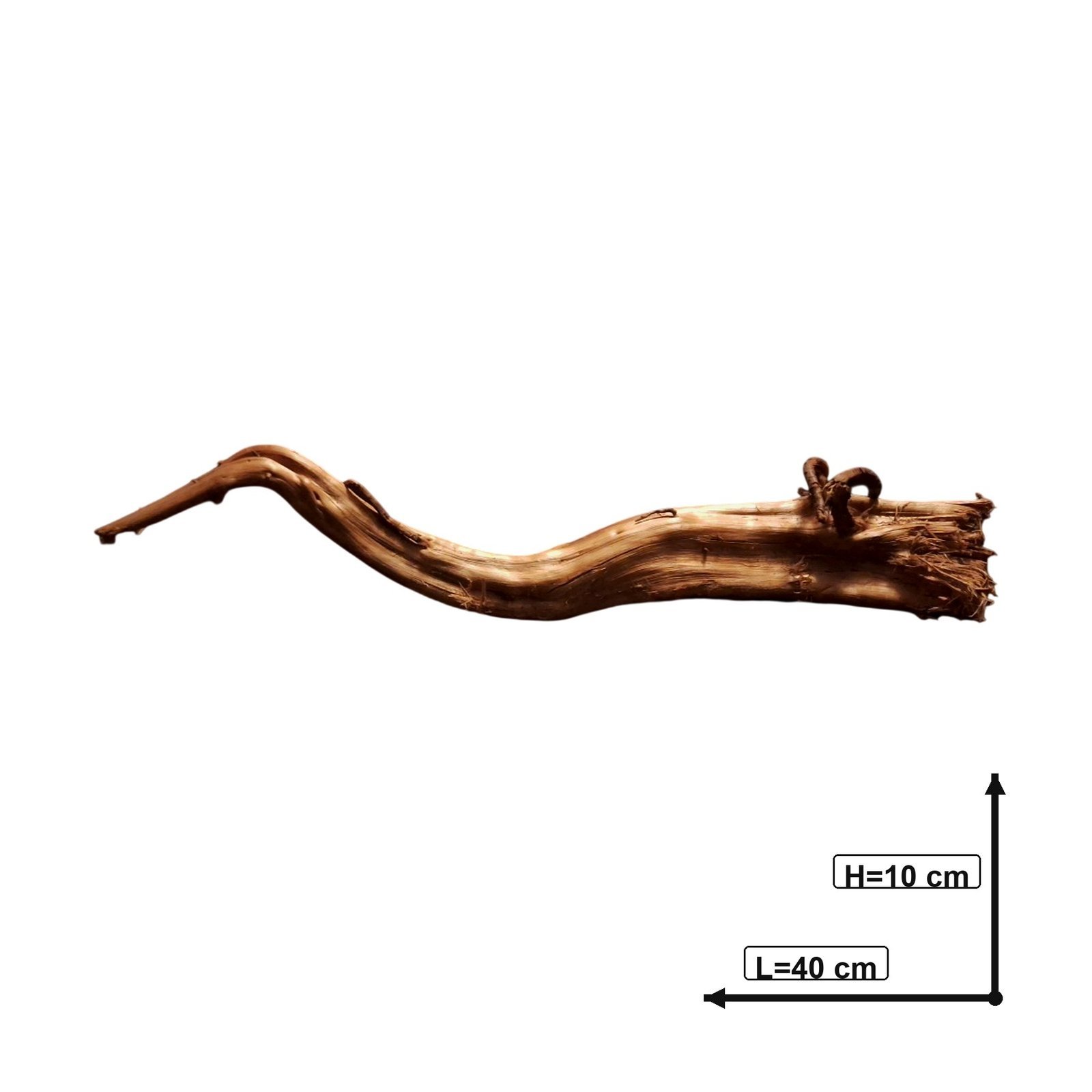 Tuskwood Akvarierot WYSIWYG Äkta Bogwood Unik 40 cm P252620 - obrazek 3