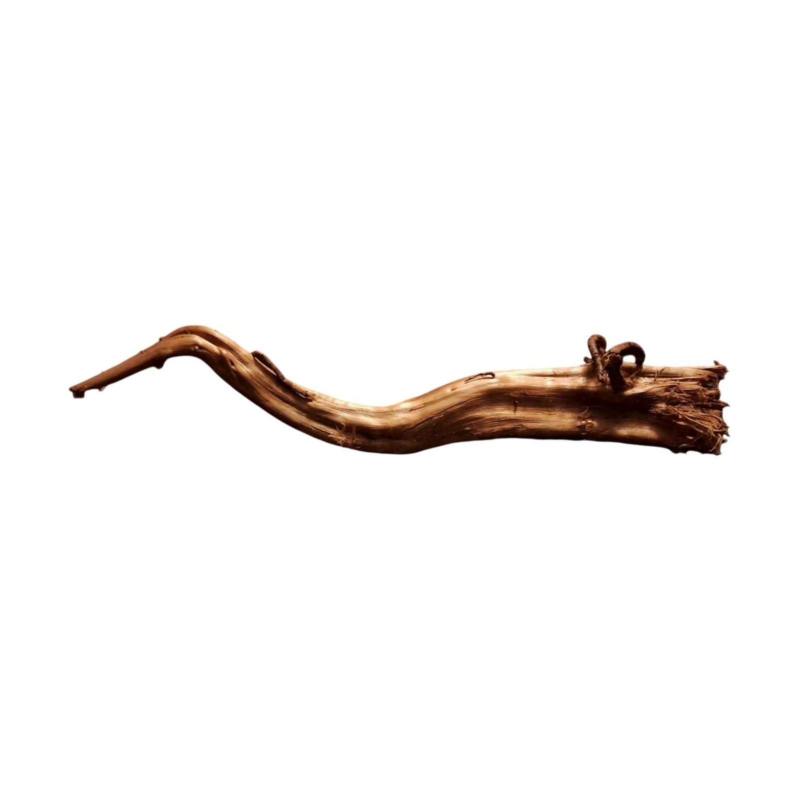 Tuskwood Akvarierot WYSIWYG Äkta Bogwood Unik 40 cm P252620 - obrazek 6