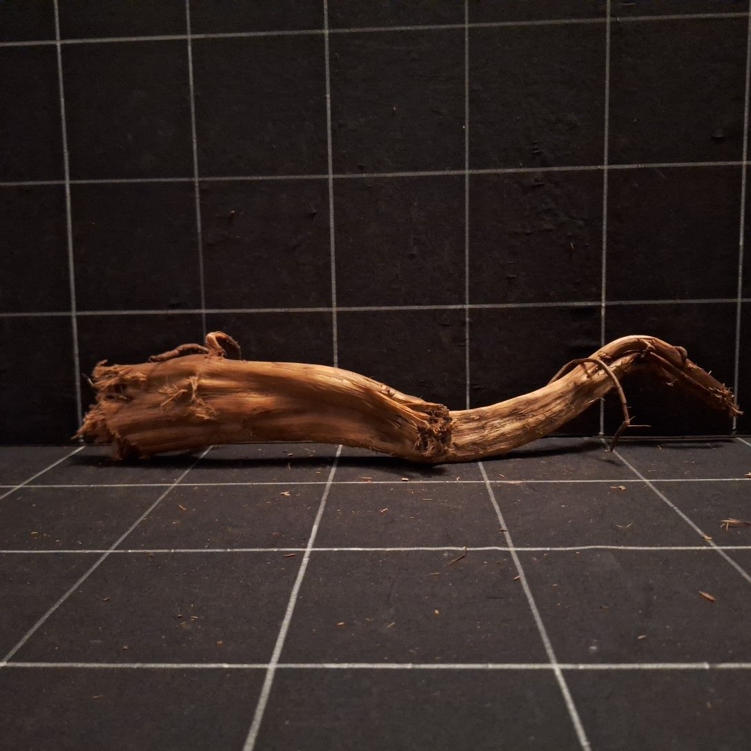 Tuskwood Akvarierot WYSIWYG Äkta Bogwood Unik 40 cm P252620 - obrazek 5