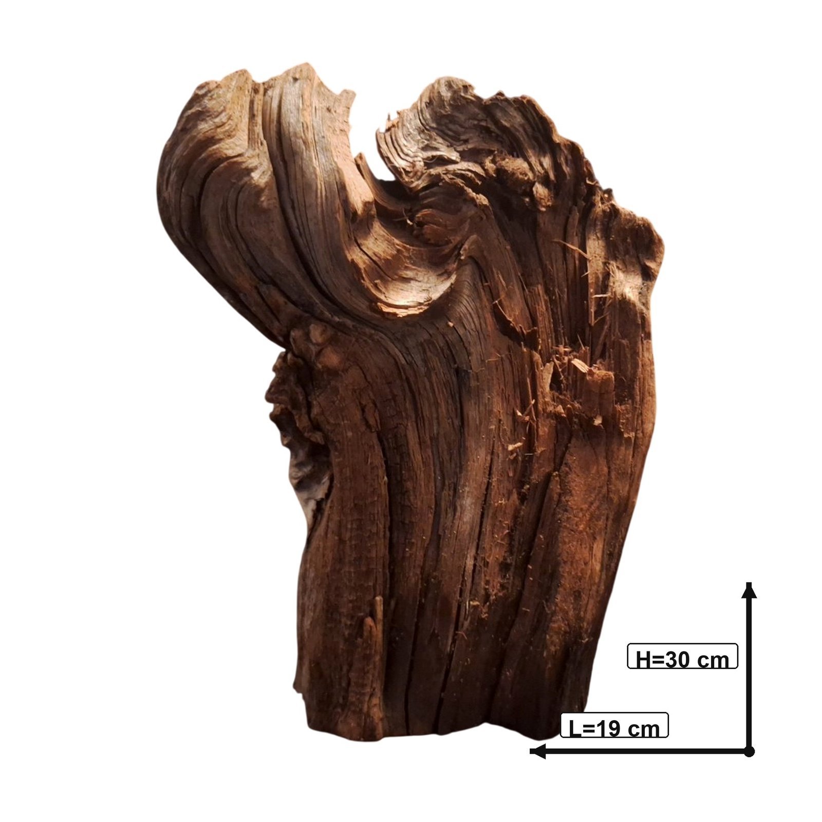 Tuskwood Akvarierot WYSIWYG Äkta Bogwood Unik 30 cm P252621 – Image 3