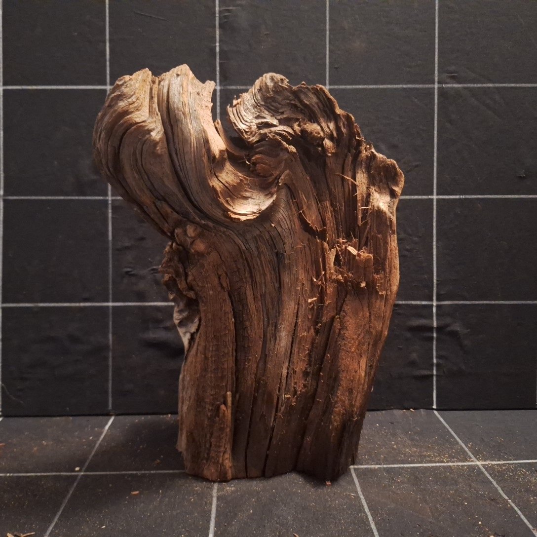 Tuskwood Akvarierot WYSIWYG Äkta Bogwood Unik 30 cm P252621 – Image 4