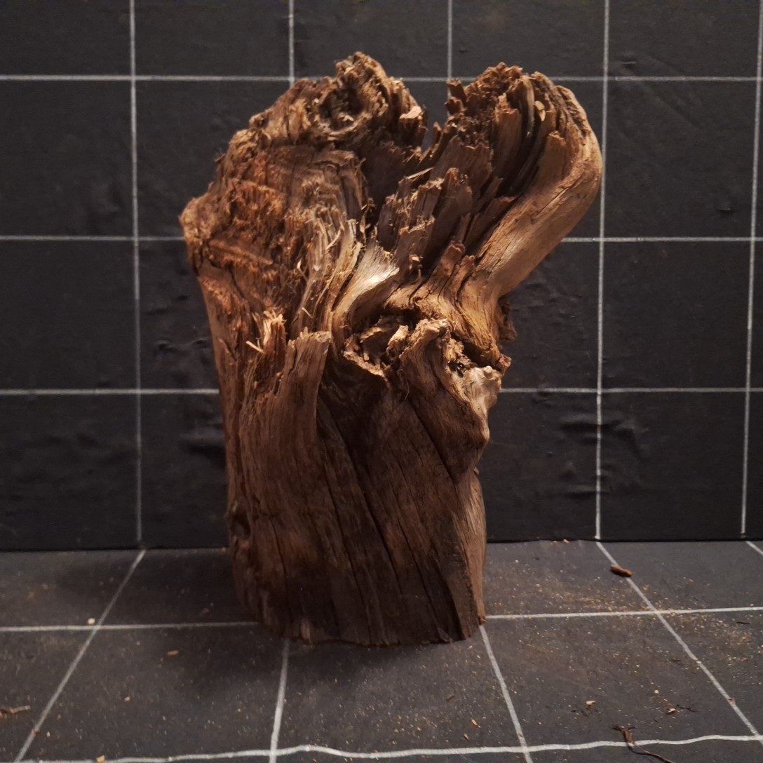 Tuskwood Akvarierot WYSIWYG Äkta Bogwood Unik 30 cm P252621 – Image 5