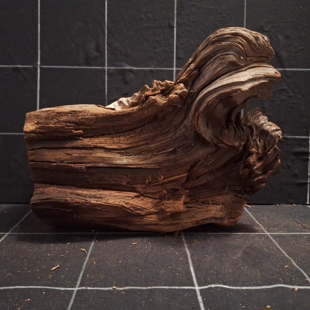 Tuskwood Akvarierot WYSIWYG Äkta Bogwood Unik 30 cm P252621 – Image 6
