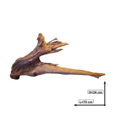 Tuskwood korzeń akwariowy z prawdziwego drewna bagiennego, 70 cm, P262618