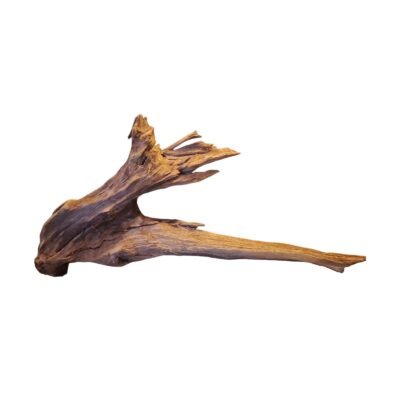 Tuskwood korzeń akwariowy z prawdziwego drewna bagiennego, 70 cm, P262618