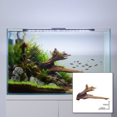 Tuskwood akvarierod i ægte mosetræ, 70 cm, P262618